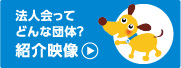 法人会ってどんな団体？